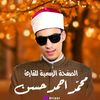 الشيخ محمد احمد حسن