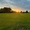 toots_photos