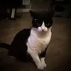 3bd.ulla6