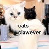 cats_clawever