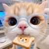 kevrupuk_chip4