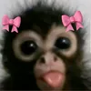 rafa_ela321