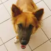 cutemissmimi