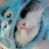 yuenmeyy