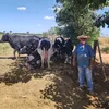 sitiorecantomineiro