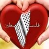 user4006143532411