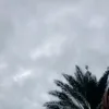 cikoo_51