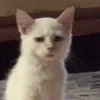 mnqer_