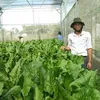 xindinh6418