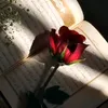 user6210256620280