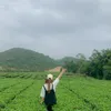 anhsang044