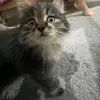 olesya_memi