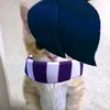 kozuto_solo