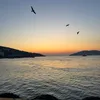 itsmegulbee