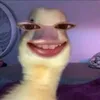 trangkiki8