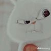 lytorijarily