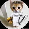 ronaldobest12