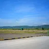 dancuk050