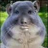 phattuntun