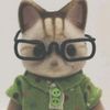 insanecat3000