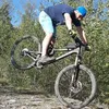 philipsalcher