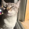 moonntte