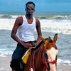 ajebo295