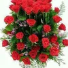 dymg30vbsqn6