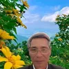 trn.vn.li480