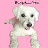 blanquita_french