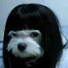 maitencita707