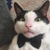 realmr.stinkypoo