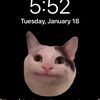 monky10311