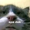 usernotfoundneedreset