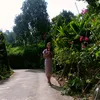 hoabinh101221