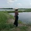 ca_luoi_boi