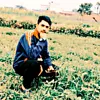 kamrangujjar623