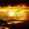 mirnaosama331