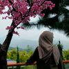 trie_ana33