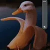__randomstuff__________