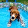 cfc_smudge