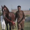 mfaizanbashir