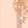 dalmaa_7