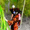 gi.c.ci
