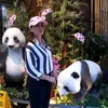 hoang_me_mai