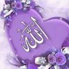 fatimfd16