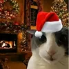 misia.prywatne3