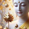 .phuonghuyen80