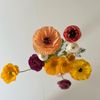 kowhaifloral