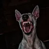 stokgolm69
